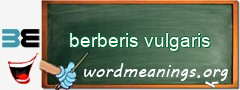 WordMeaning blackboard for berberis vulgaris